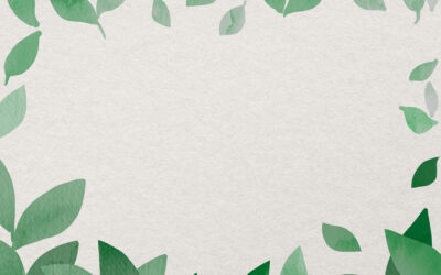 9 eco-friendly habits the French should adopt every day